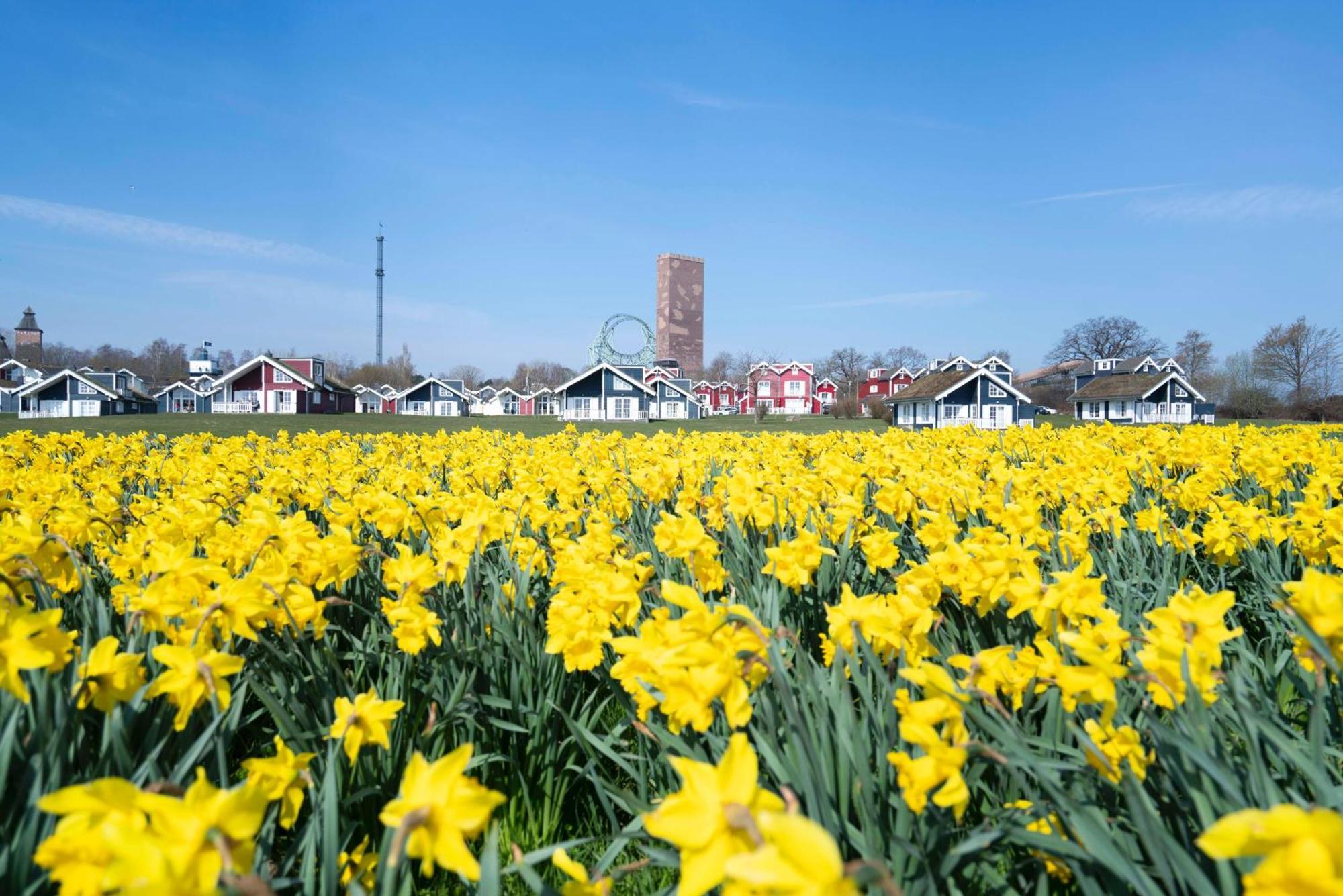 Strandpark Sierksdorf H092 "Ostsehblick" Kültér fotó
